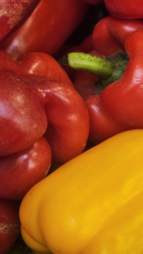 Close-up of rescued red and yellow peppers